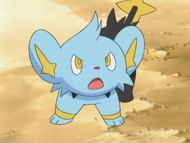 Landis' Shinx in the anime. (Image via The Pokemon Company)